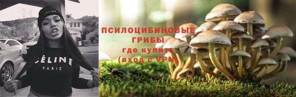 ECSTASY Козельск