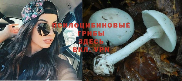 гидра Козловка