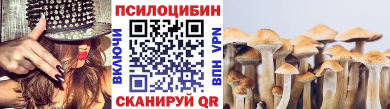 Купить закладки  Муравленко  Псилоцибиновые грибы Cubensis 